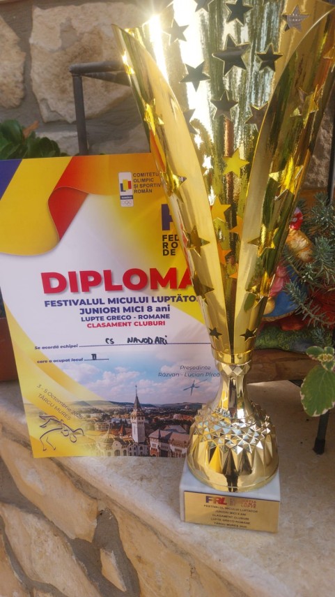 cs navodari sase medalii la festivalul micului luptator andreea ulmeanu a cucerit aurul galerie foto