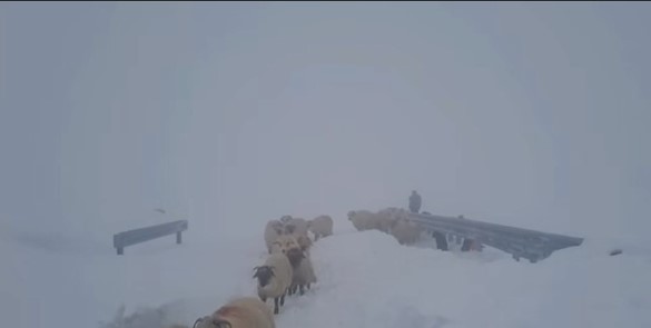 Sursa foto: Captură video DRDP Craiova