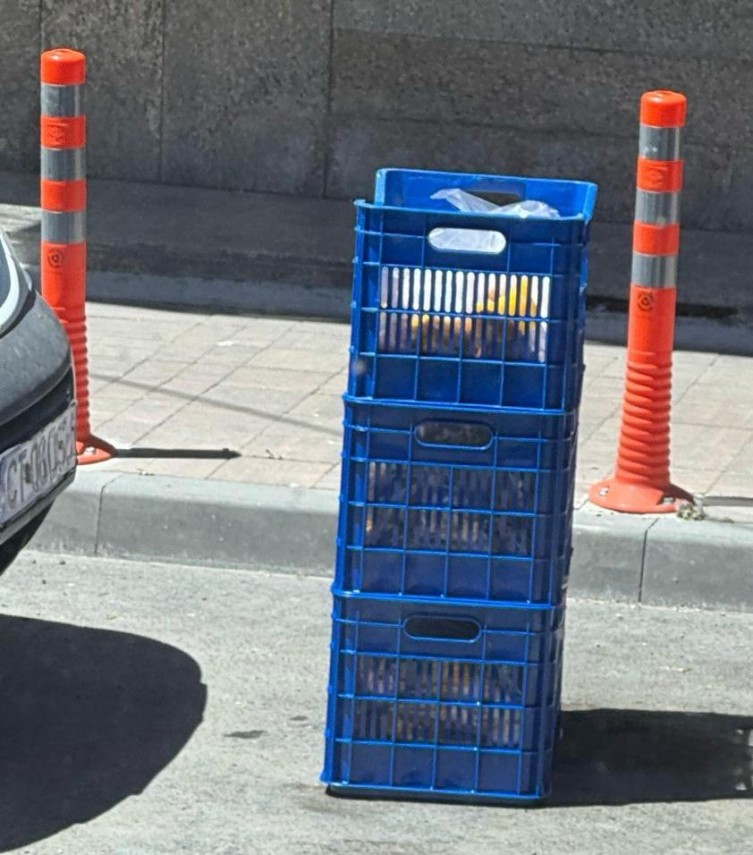 foto video deficiente grave gasite de cjpc constanta la restaurantul sport din constanta 914137