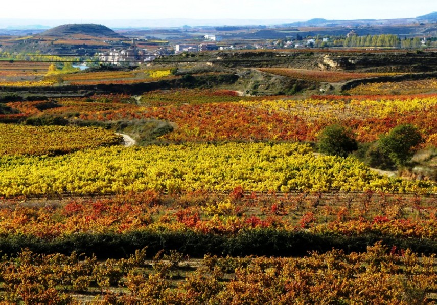 Podgorie în Rioja, Sursa foto: Wikipedia