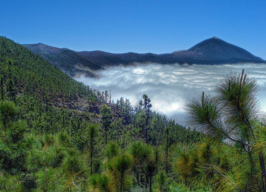 Muntele Teide, Sursa foto: Wikipedia