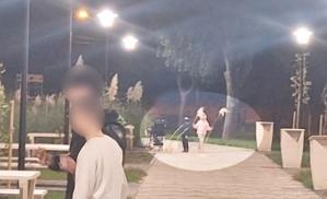 FOTO. Plante decorative furate din Parcul Poarta 6 din Constanța! Poliția Locală analizează imaginile de pe camerele video