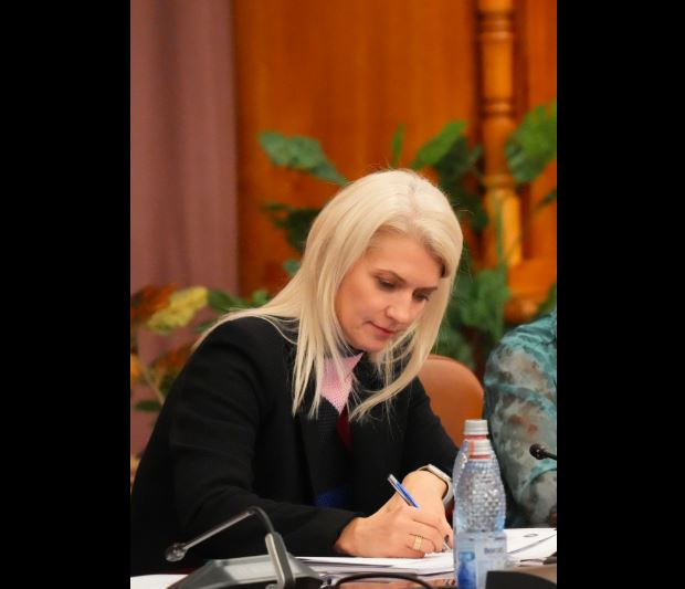 Sursa foto: Facebook/Comisia specială a Parlamentului: 'România fără violenţă domestică' 