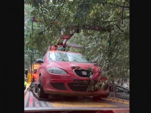 Vehiculele abandonate, ridicate de pe străzile Constanței. Acțiune a Poliției Locale