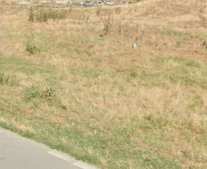 Teren din Tulcea, evaluat la peste 4 milioane de lei, scos din nou la licitație de un executor din Constanța (DOCUMENTE)