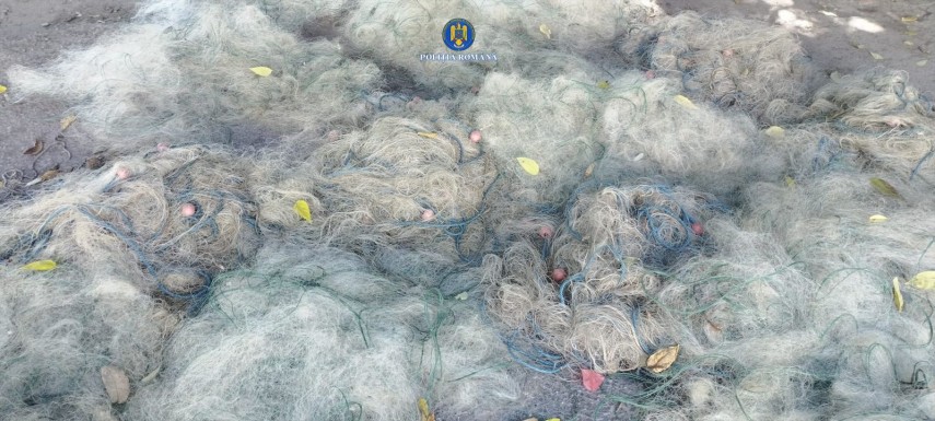 Sursă foto: IPJ Ialomița
