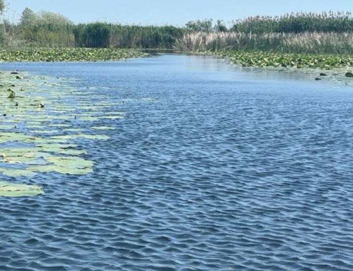 Foto cu rol ilustrativ, Sursa foto: ARBDD