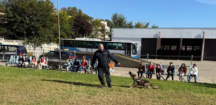 Sursa foto: IJJ Constanța