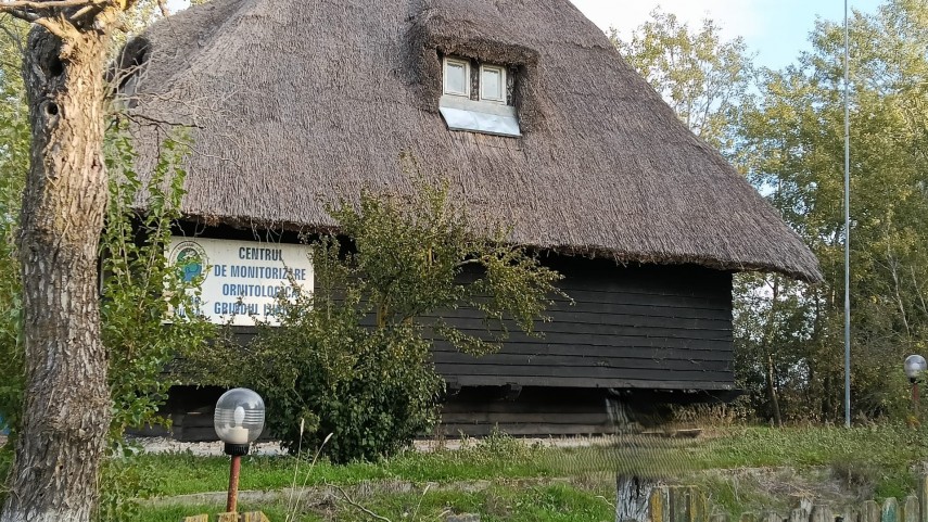 foto centrul de monitorizare ornitologica grindul lupilor din perimetrul rbdd gazda unei actiuni stiintifice foto centrul de monitorizare ornitologica grindul lupilor din perimetrul rbdd gazda unei actiuni stiintifice