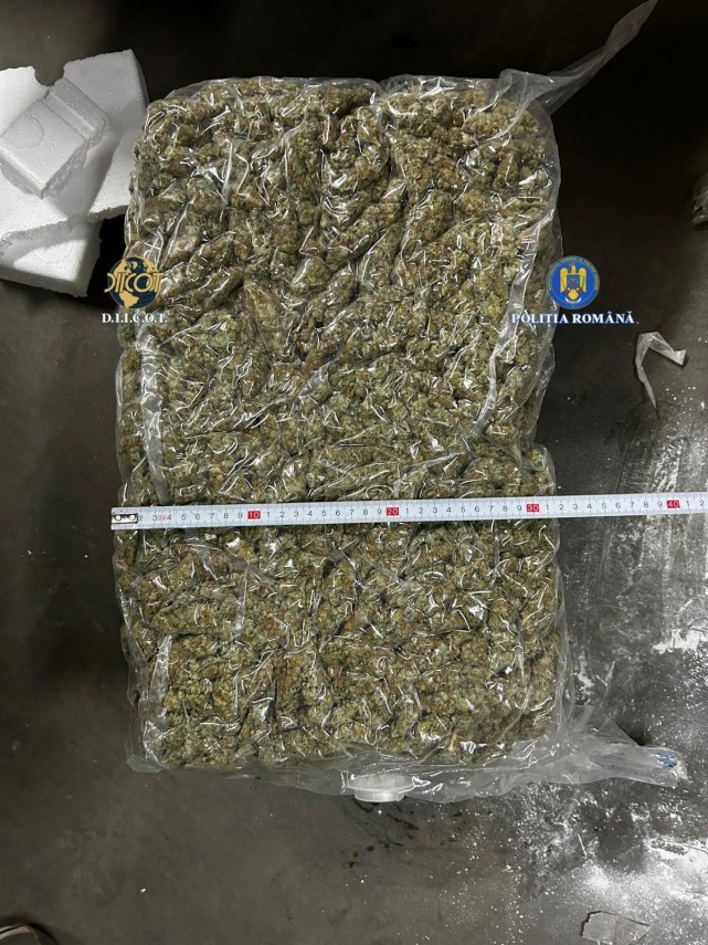 diicot foto afacere cu droguri esuata o femeie si un barbat prinsi in flagrant dupa ce au schimbat 14 diicot foto afacere cu droguri esuata o femeie si un barbat prinsi in flagrant dupa ce au schimbat 14