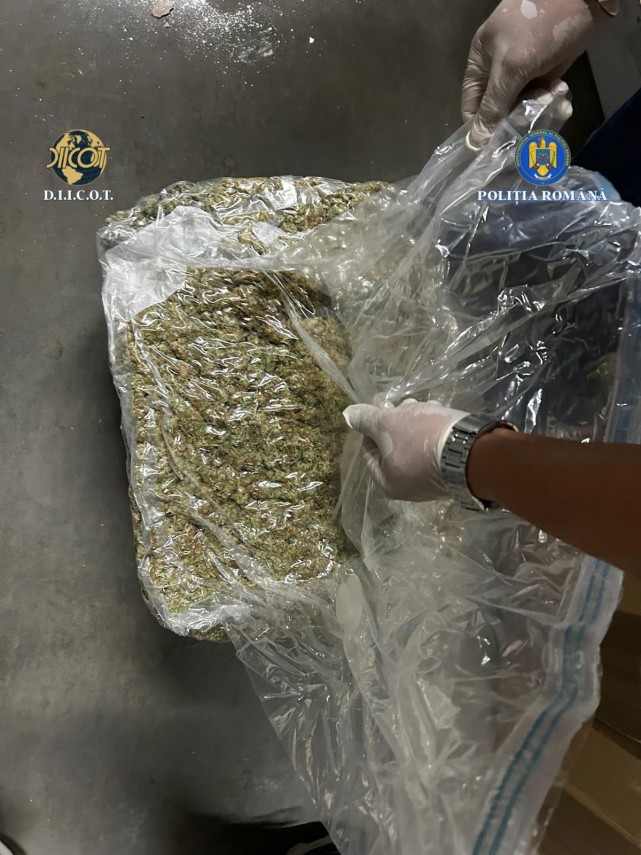 diicot foto afacere cu droguri esuata o femeie si un barbat prinsi in flagrant dupa ce au schimbat 14 diicot foto afacere cu droguri esuata o femeie si un barbat prinsi in flagrant dupa ce au schimbat 14