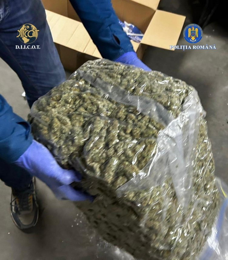 diicot foto afacere cu droguri esuata o femeie si un barbat prinsi in flagrant dupa ce au schimbat 14 diicot foto afacere cu droguri esuata o femeie si un barbat prinsi in flagrant dupa ce au schimbat 14