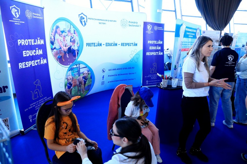 foto romania a obtinut cel mai mare numar de finalisti la campionatul mondial felin fife world winner foto romania a obtinut cel mai mare numar de finalisti la campionatul mondial felin fife world winner