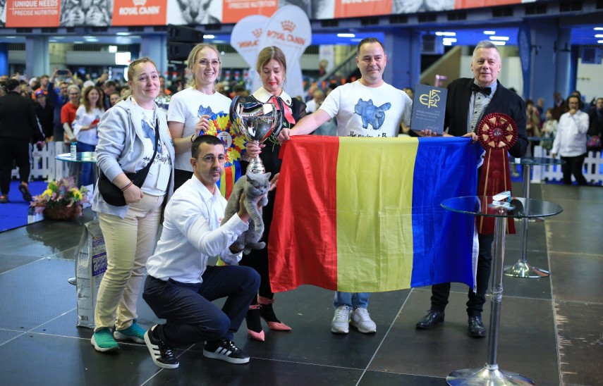 foto romania a obtinut cel mai mare numar de finalisti la campionatul mondial felin fife world winner foto romania a obtinut cel mai mare numar de finalisti la campionatul mondial felin fife world winner