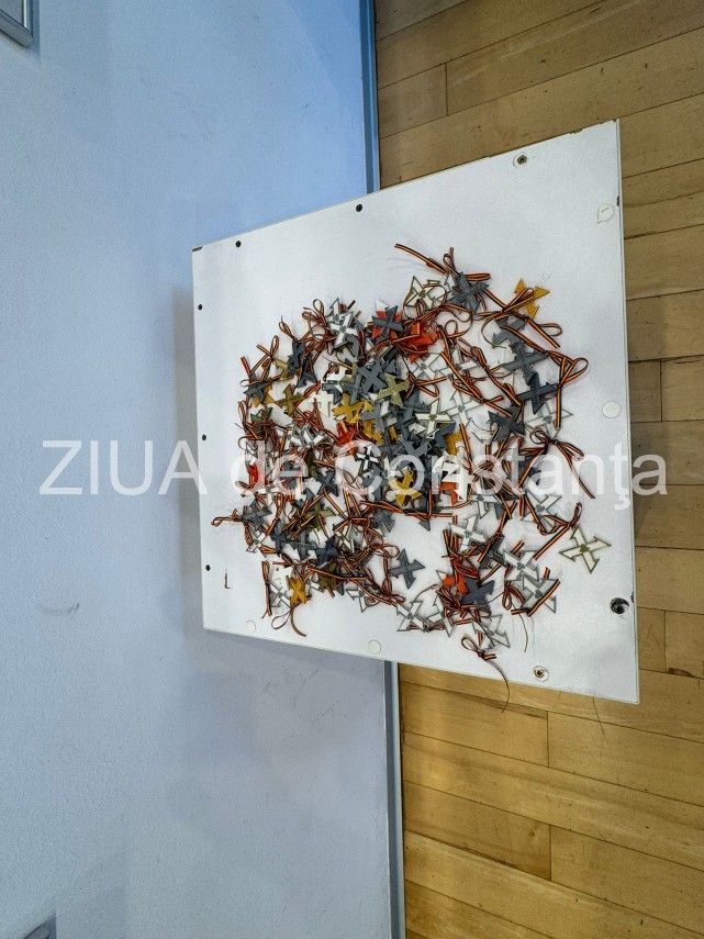 150 de ani de la nasterea reginei maria foto vernisajul expozitiei aripile reginei maria la centrul multifunctional 150 de ani de la nasterea reginei maria foto vernisajul expozitiei aripile reginei maria la centrul multifunctional