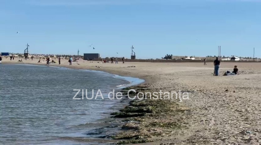 foto video final de octombrie cu baie in mare la constanta cativa curajosi s au aventurat in apa rece foto video final de octombrie cu baie in mare la constanta cativa curajosi s au aventurat in apa rece