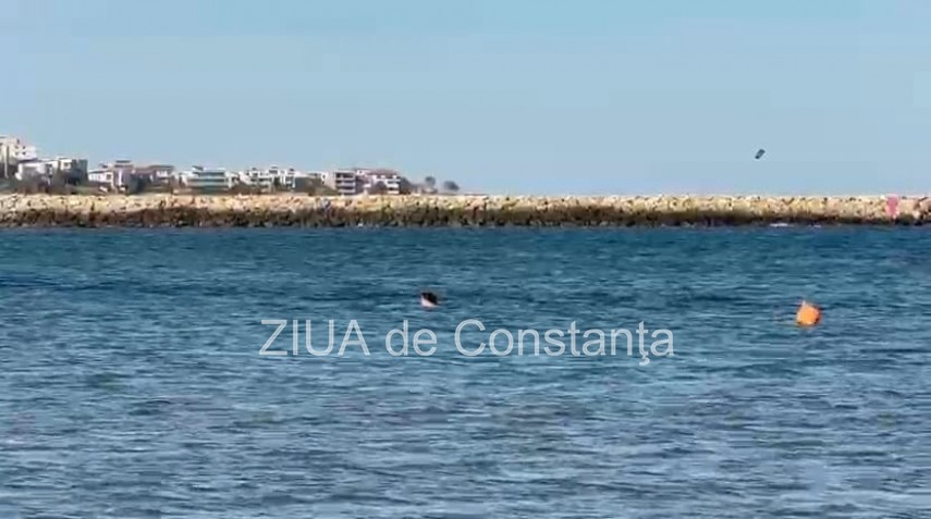 foto video final de octombrie cu baie in mare la constanta cativa curajosi s au aventurat in apa rece foto video final de octombrie cu baie in mare la constanta cativa curajosi s au aventurat in apa rece