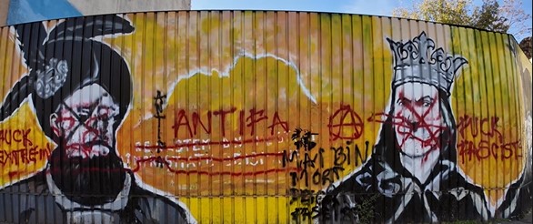 Sursa foto: Captură video Facebook/ AUR