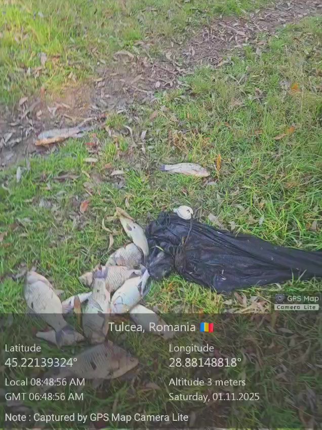 de interes pentru pescari foto arbdd clarifica regula catch release si limitele de retinere a capturilor de interes pentru pescari foto arbdd clarifica regula catch release si limitele de retinere a capturilor