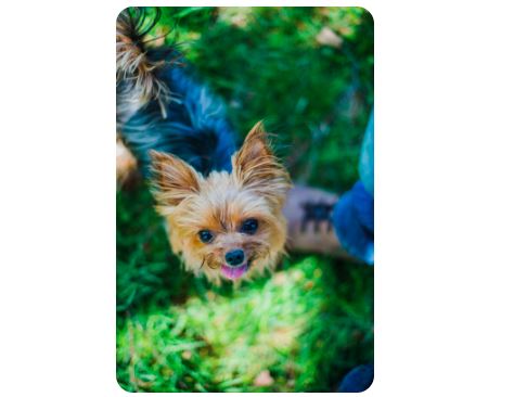 sursa foto: Freepick.com