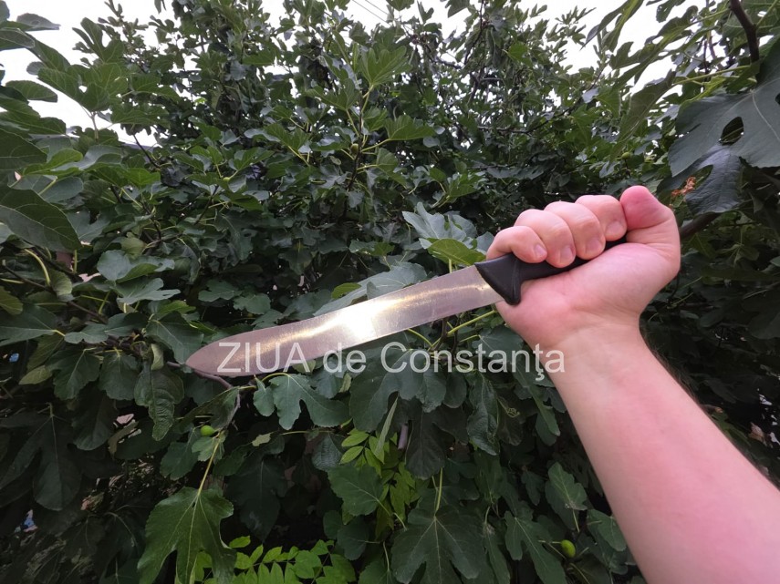 foto cu rol ilustrativ