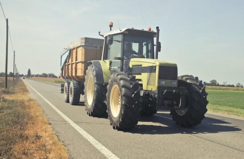 Sursa foto: Pexels/ Imagine cu rol ilustrativ