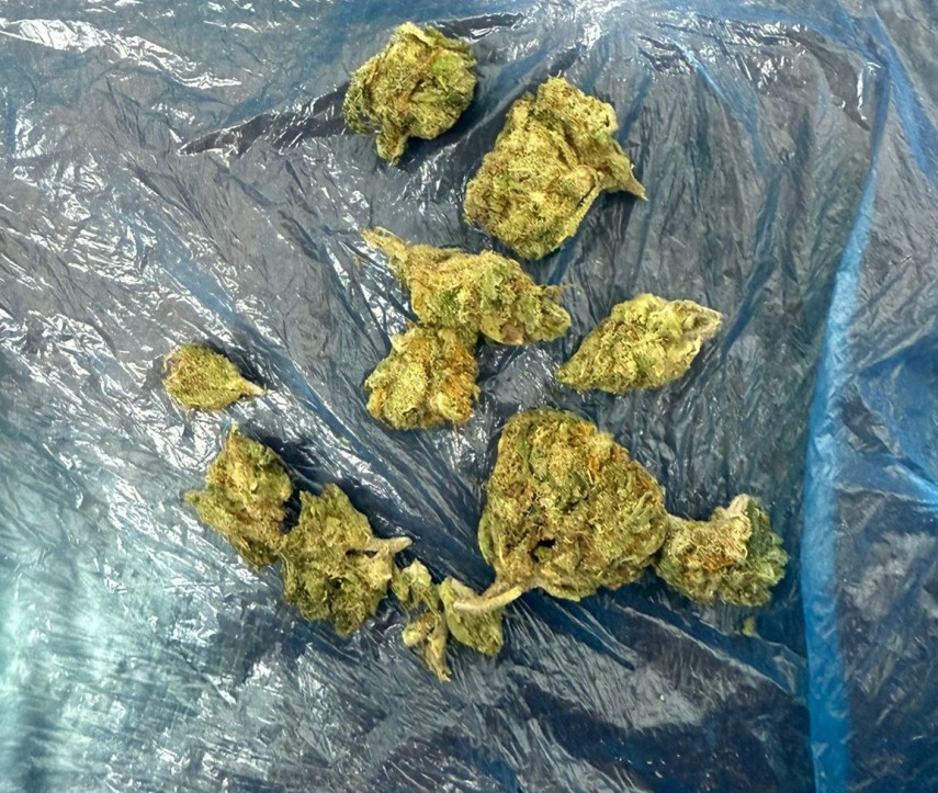 Sursa foto: IJJ Constanța