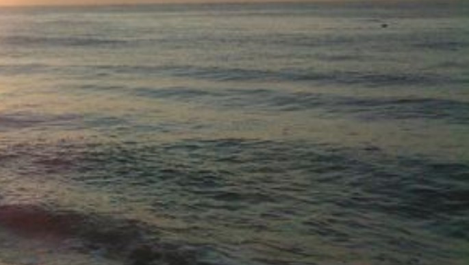 Foto cu rol ilustrativ