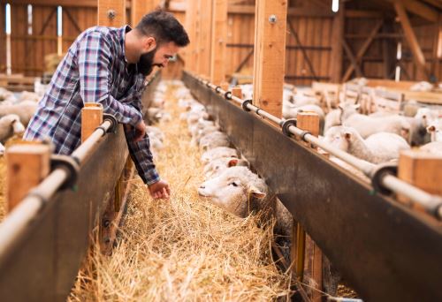 sursa foto: Freepick.com