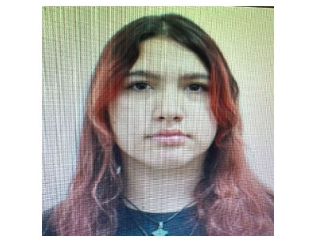 sursa foto: IPJ Constanța