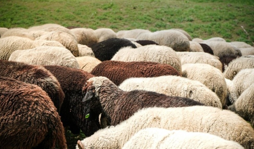 Foto ilustrativă - sursa: Freepik