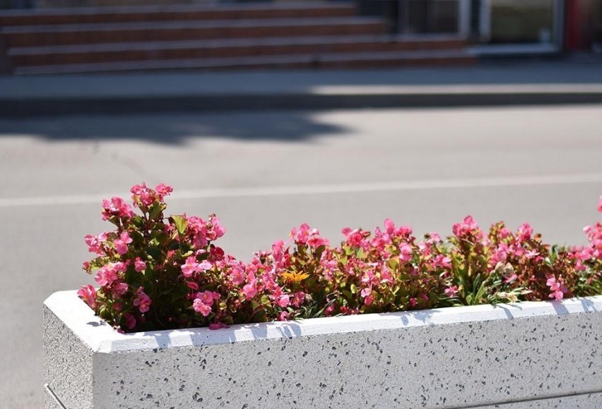 Foto cu rol ilustrativ