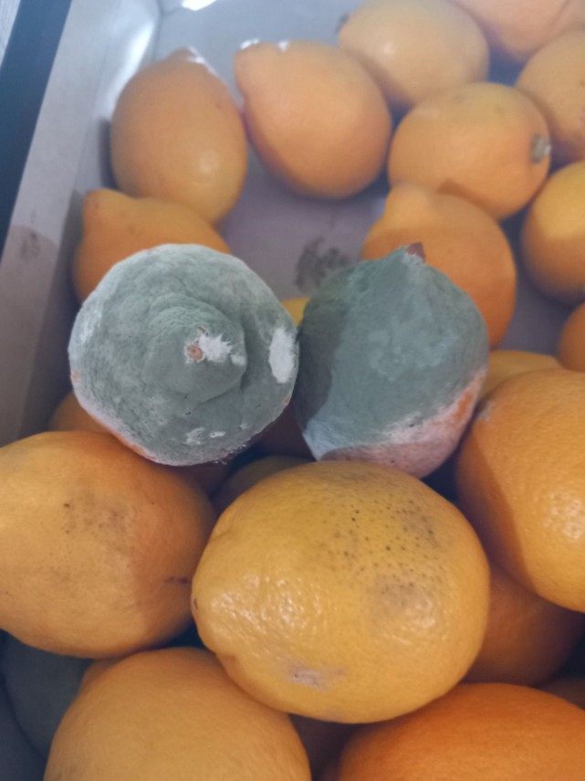 foto peste 450 de operatori economici controlati de anpc s a lasat cu sanctiuni 917189 foto peste 450 de operatori economici controlati de anpc s a lasat cu sanctiuni 917189