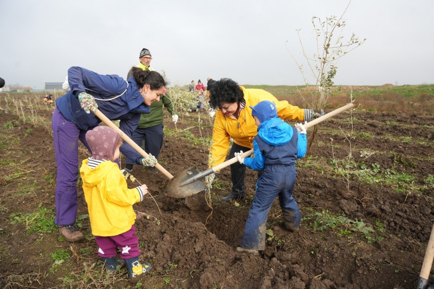 foto cumpana gazda unei noi actiuni de impadurire 3 000 de noi puieti au fost plantati in cadrul proiectului foto cumpana gazda unei noi actiuni de impadurire 3 000 de noi puieti au fost plantati in cadrul proiectului
