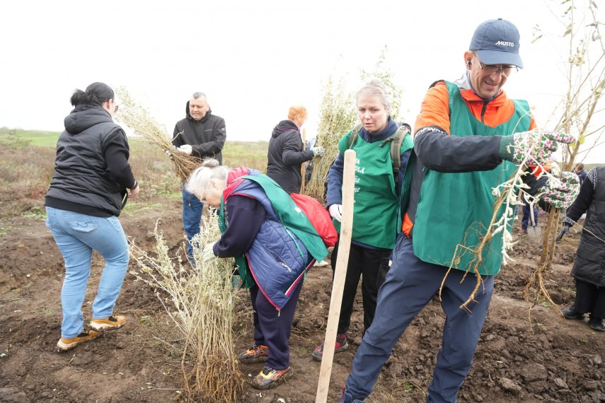 foto cumpana gazda unei noi actiuni de impadurire 3 000 de noi puieti au fost plantati in cadrul proiectului foto cumpana gazda unei noi actiuni de impadurire 3 000 de noi puieti au fost plantati in cadrul proiectului