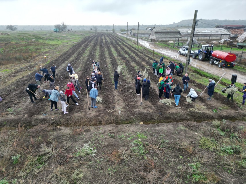 foto cumpana gazda unei noi actiuni de impadurire 3 000 de noi puieti au fost plantati in cadrul proiectului foto cumpana gazda unei noi actiuni de impadurire 3 000 de noi puieti au fost plantati in cadrul proiectului