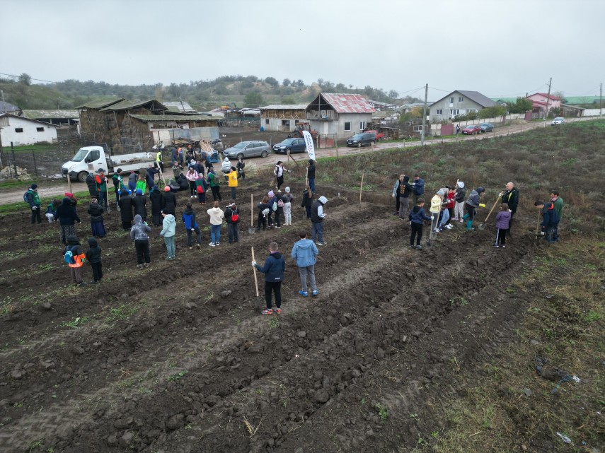 foto cumpana gazda unei noi actiuni de impadurire 3 000 de noi puieti au fost plantati in cadrul proiectului foto cumpana gazda unei noi actiuni de impadurire 3 000 de noi puieti au fost plantati in cadrul proiectului