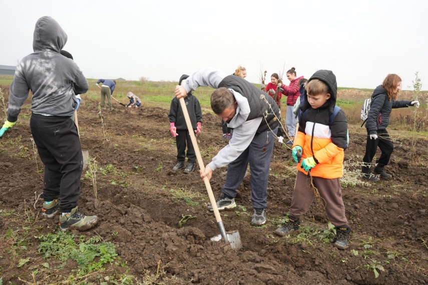 foto cumpana gazda unei noi actiuni de impadurire 3 000 de noi puieti au fost plantati in cadrul proiectului foto cumpana gazda unei noi actiuni de impadurire 3 000 de noi puieti au fost plantati in cadrul proiectului