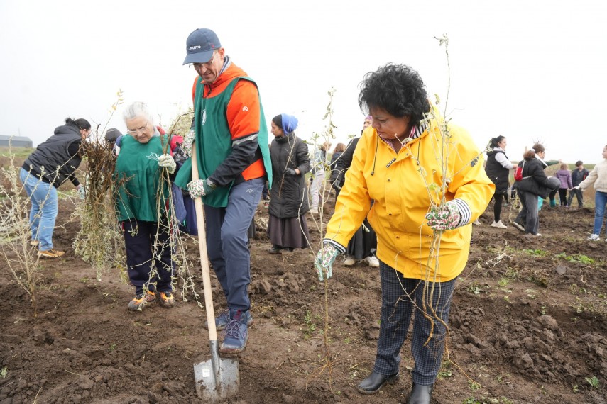 foto cumpana gazda unei noi actiuni de impadurire 3 000 de noi puieti au fost plantati in cadrul proiectului foto cumpana gazda unei noi actiuni de impadurire 3 000 de noi puieti au fost plantati in cadrul proiectului