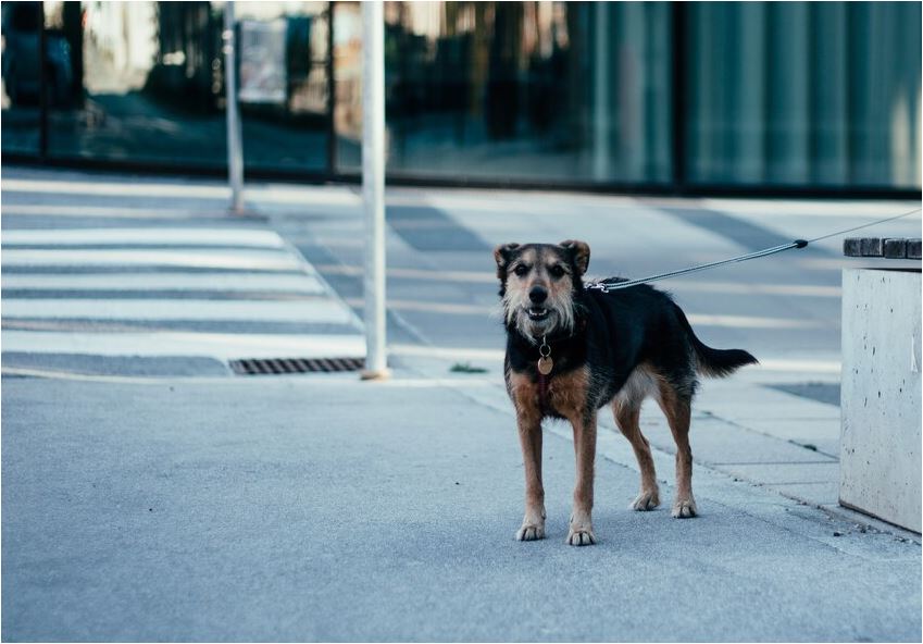 Sursa foto: freepick.com (foto cu rol ilustrativ)