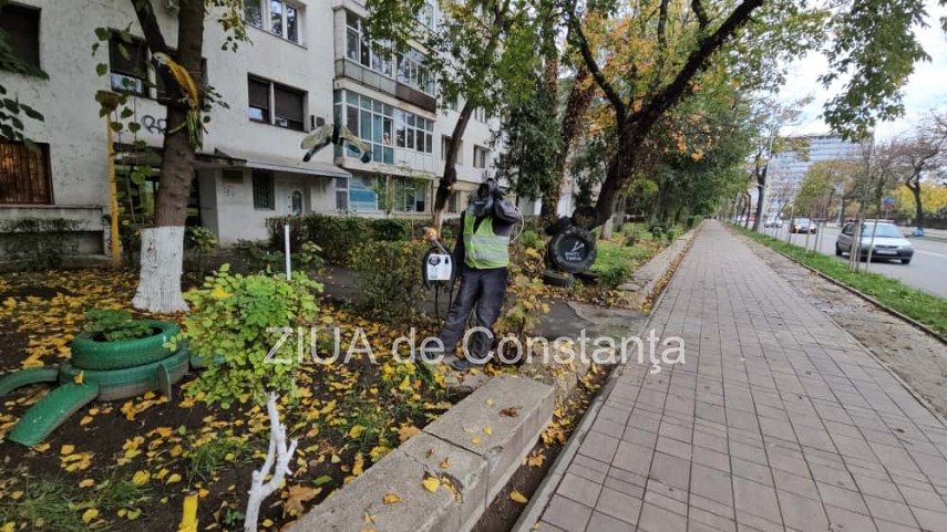 foto video fotoreportaj gradina care prinde viata din lucruri uitate in constanta 917582
