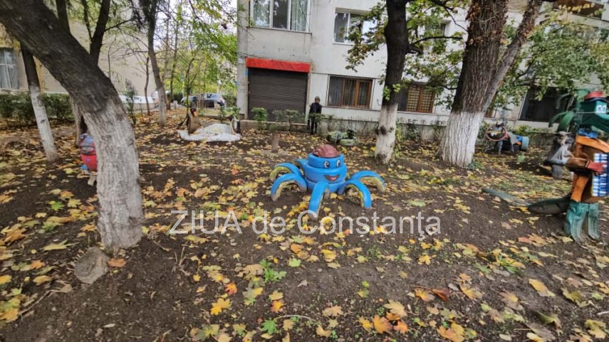 foto video fotoreportaj gradina care prinde viata din lucruri uitate in constanta 917582