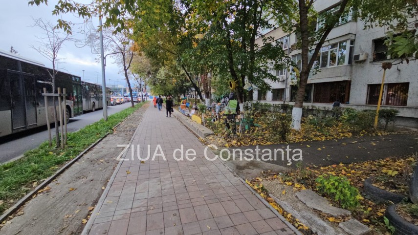 foto video fotoreportaj gradina care prinde viata din lucruri uitate in constanta 917582