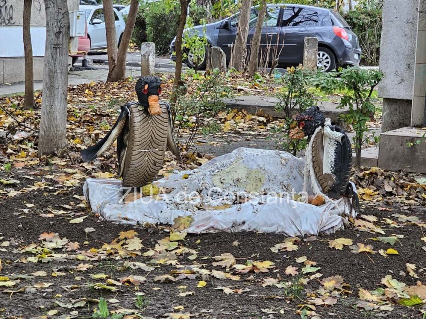 foto video fotoreportaj gradina care prinde viata din lucruri uitate in constanta 917582