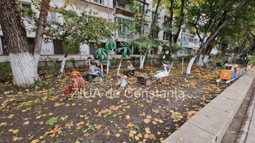 foto video fotoreportaj gradina care prinde viata din lucruri uitate in constanta 917582