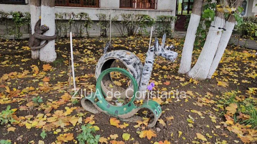 foto video fotoreportaj gradina care prinde viata din lucruri uitate in constanta 917582