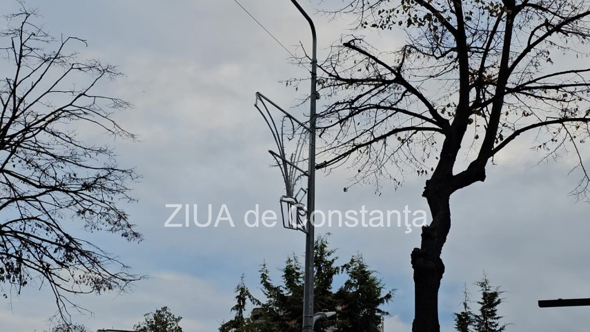 foto video constanta imbraca haine de sarbatori se aprind luminitele pe bulevardul ferdinand 917588