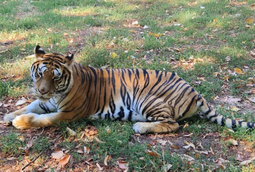 Sursa foto: Facebook/Zoo Ploiești - Bucov