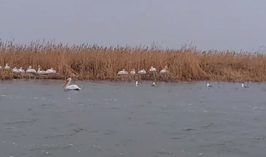 Foto cu rol ilustrativ