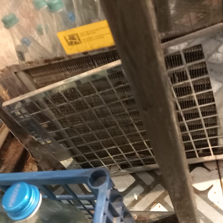 foto controale cjpc constanta abateri grave de igiena la barissimo cocktail bar si restaurantul popino foto controale cjpc constanta abateri grave de igiena la barissimo cocktail bar si restaurantul popino